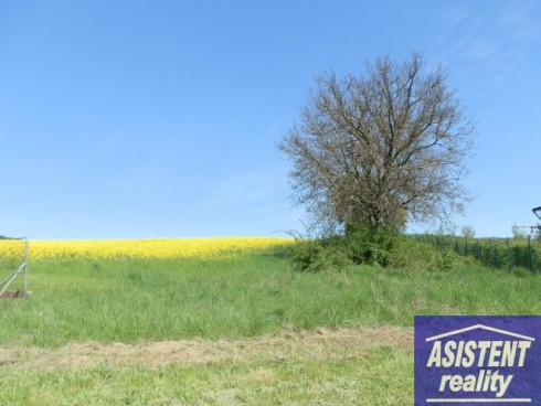 P5040232