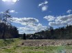 IMG_3737