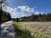 IMG_3768
