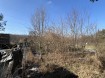 IMG_1359