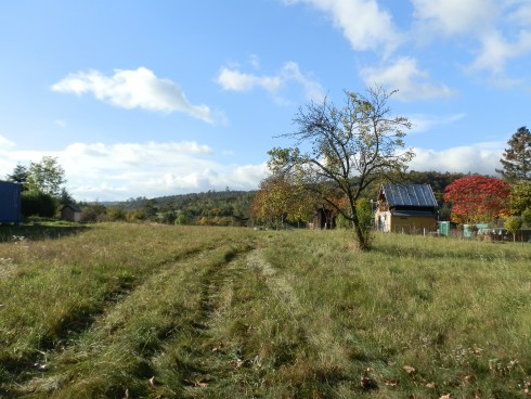 PA250268