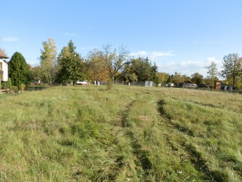 PA250282