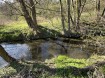 IMG_3755