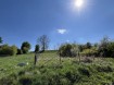 IMG_4458